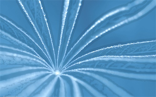 朗逸如何调灯光角度，老朗逸近光灯怎样调整高度图解视频